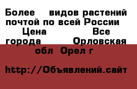 Более200 видов растений почтой по всей России › Цена ­ 100-500 - Все города  »    . Орловская обл.,Орел г.